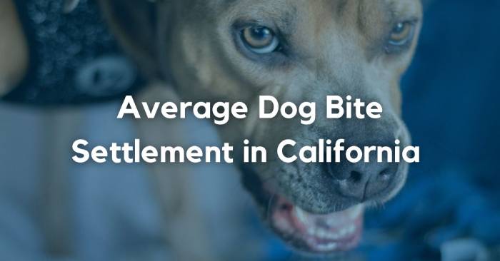 California Dog Bite Settlements: What’s the Average in 2023? - LawLinq